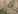 CfbNXEObh 