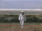 Walking : To and From