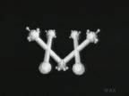 X-Shape : Family
