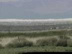 Horizon : White Strip