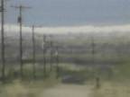 Horizon : White Strip