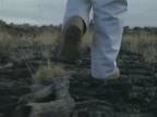Feet : Forwards