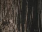 Cave : Curtains