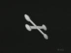 X` : l