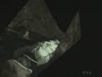 Sleeping : Cave