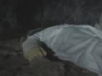 Sleeping : Cave
