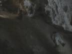 Sleeping : Cave