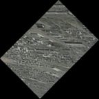eLXg 