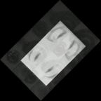 eLXg 