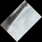 eLXg 