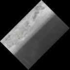 eLXg 