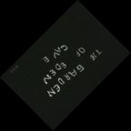 eLXg 