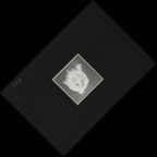 eLXg 