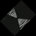 eLXg 