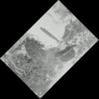 eLXg 