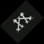 eLXg 