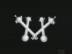 X-Shape : Family