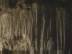 Looking : Cave Stares
