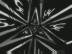 T�l� d'Abeilles : Corps Mort